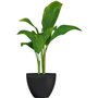 Pot de fleurs - GARDEN ID - Green Care Impact Noir-Anth - 30 x 26 cm - Garanti 10ans - 100% recyclé - Résistant UV/gel