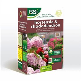 BSI - Engrais Hortensias/Rhododendrons - Pour Tous les Hortensias / Rhododendrons - Action Longue Durée - 4kg - Jusqu'a 40 m² - 