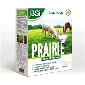 BSI - Semences de Gazon - Prairie - Haute qualité - Grande Surface - Jusqu'a 375m² - 7