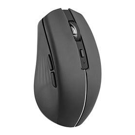 Souris TNB GRADIENT