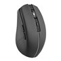 Souris TNB GRADIENT