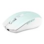 Souris TNB GRADIENT Bleu 1600 dpi