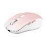 Souris TNB GRADIENT Rose