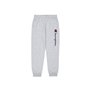 Pantalon Champion RIB CUFF PANTS 220293 NOXM Gris