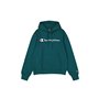 Sweat à capuche homme Champion HOODED SWEATSHIRT 220253 HLG Vert