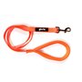 Laisse pour Chien Gloria Orange S