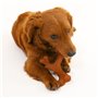 Jouet pour chien Nylabone 20 Marron animaux