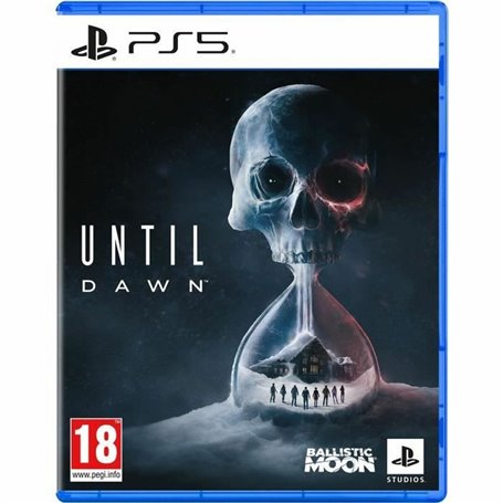 Jeu vidéo PlayStation 5 Sony Until Dawn