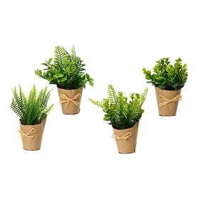 Plante décorative EDM 18 cm