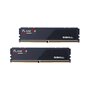 Mémoire RAM GSKILL FLARE X5 AMD 32 GB DDR5 6000 MHz cl30