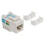 Câble Réseau Rigide UTP 6ème Catégorie Intellinet 210355 Blanc