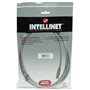 Câble Réseau Rigide UTP 6ème Catégorie Intellinet 318976 Gris 2 m