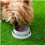 Laisse de chien rétractable 6 en 1 Leashic InnovaGoods