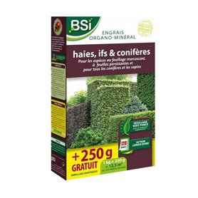 Engrais pour Bio Haie/If/Conifere - BSI - Feuillage vert fonçé - Action longue duree - 12