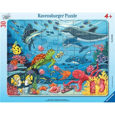 Puzzle fond de la mer 30-48p