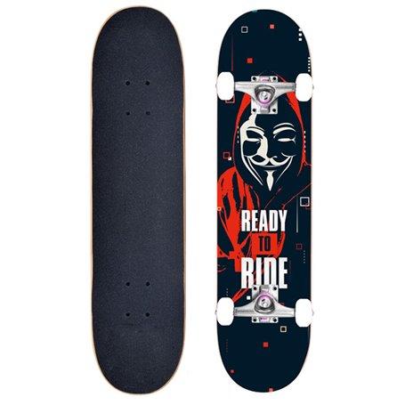 Skateboard 213 Casa 3 RTR