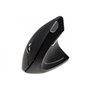 Dacomex 225128 souris Droitier RF sans fil Optique 2400 DPI