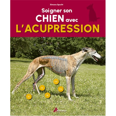 Soigner son chien avec l'acupression