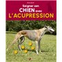 Soigner son chien avec l'acupression