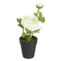 Plante décorative Polyester Polyéthylène Fer Fleur 9