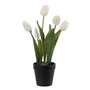 Plante décorative Polyester Polyéthylène Fer 11 x 11 x 31 cm