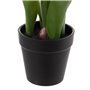 Plante décorative Polyester Polyéthylène Fer 11 x 11 x 31 cm