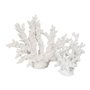 Figurine Décorative Blanc Résine Corail 34 X 13 X 27 CM