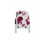 Desigual Pull Femme 96690