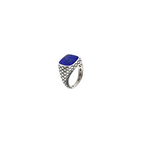 Bague Femme Albert M. WSOX00075.LPS-26 26