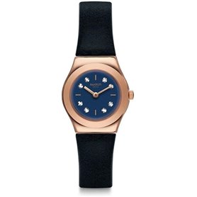 Montre Homme Swatch YSG152