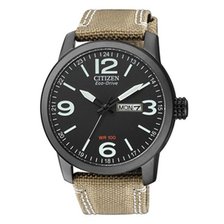 Montre Homme Citizen PROMASTER ECO DRIVE