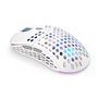 Souris Endorfy EY6A010 Blanc Multicouleur 16000 dpi