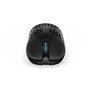 Souris Endorfy EY6A008 Noir Multicouleur 16000 dpi