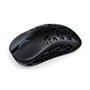 Souris Endorfy EY6A016 Noir Multicouleur 26000 DPI