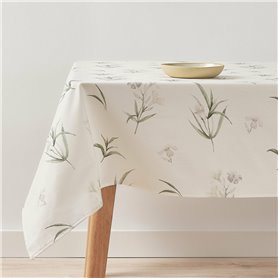 Nappe Belum T08 300 x 155 cm