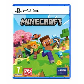 Jeu vidéo PlayStation 5 Sony MINECRAFT