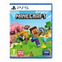 Jeu vidéo PlayStation 5 Sony MINECRAFT