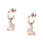 Boucles d´oreilles Femme Morellato SAUN09 Argent