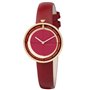 Montre Femme Pierre Cardin CMA-0007