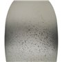 Bouteille Gris Argenté Aluminium Verre 15 x 15 x 46 cm Décorative