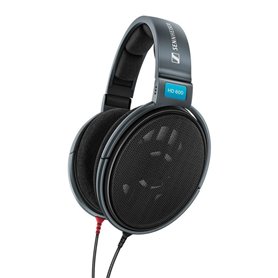 Casques avec Microphone Sennheiser HD 600 Noir Gris