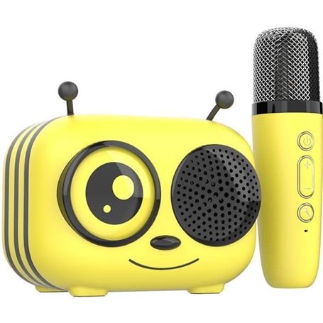 Kit karaoké / Enceinte Bluetooth et micro sans fil - CGV - MAYA