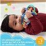 Hochet et jouet de dentition sans BPA pour nouveau-nés de Fisher-Price, Loutre a Tordre et Mordiller HJW12