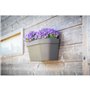 Pot mural - GARDEN ID Star - Taupe 36 x 16 cm - Réserve d'eau avec systeme de trop-plein - Recyclé et 100% recyclable