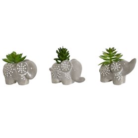 Plante décorative Home ESPRIT Polyéthylène Ciment 8 x 5 x 7 cm (3 Unités)