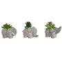 Plante décorative Home ESPRIT Polyéthylène Ciment 8 x 5 x 7 cm (3 Unités)