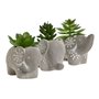 Plante décorative Home ESPRIT Polyéthylène Ciment 8 x 5 x 7 cm (3 Unités)