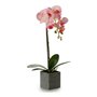 Plante décorative Orchidée 15 x 43 x 18 cm Plastique