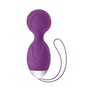 Boules d'Orgasme S Pleasures Silicone/ABS