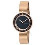 Montre Femme Pierre Cardin CMA-0010